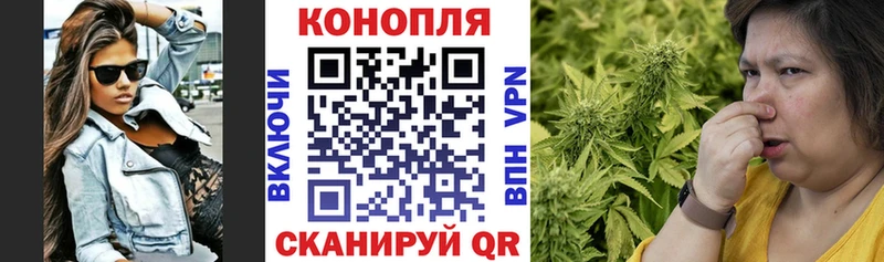 МАРИХУАНА THC 21%  закладки  Фокино 